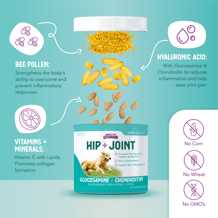 Health Extension  HIP + JOINT Mobility Supplement - 9 - Image 12