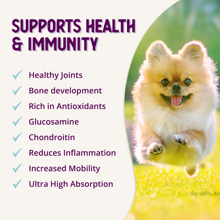 Health Extension  HIP + JOINT Mobility Supplement - 10 - Image 12