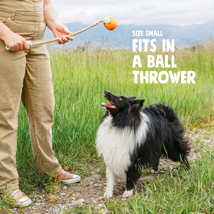 West Paw Jive Dog Toy