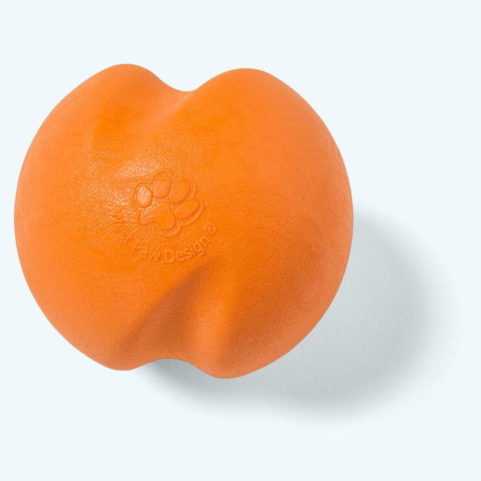 West Paw Jive Dog Toy