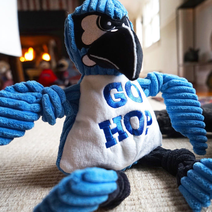 HuggleHounds NCAA Mascot Johns Hopkins University, Jay the Blue Jay Knottie® Plush Dog Toy
