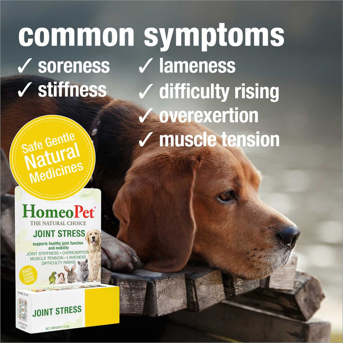 HomeoPet Joint Stress 15 ml