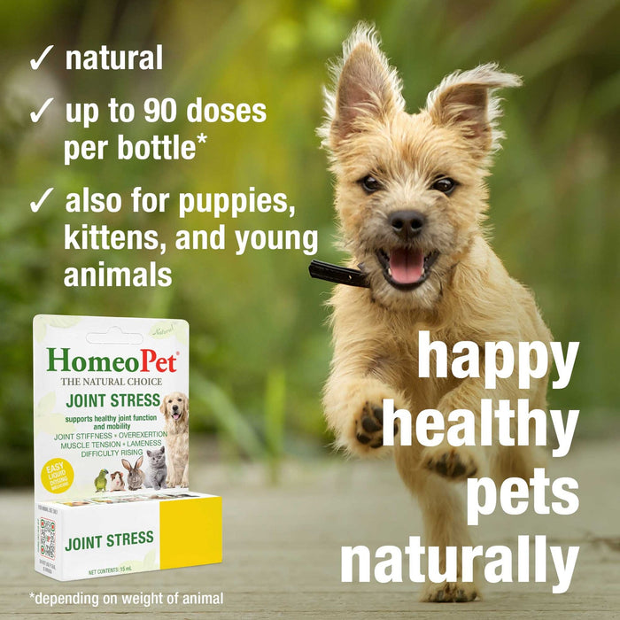 HomeoPet Joint Stress 15 ml