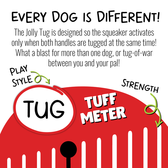 Jolly Tug by Jolly Pets