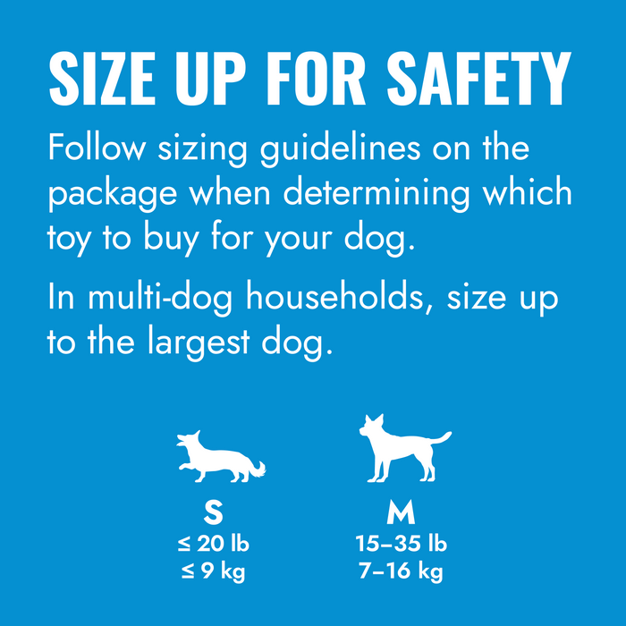 KONG Activity Ball Puppy Toy Assorted SM - 7 - Image 15