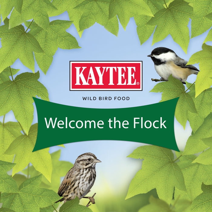 Kaytee Wild Bird 10 Pounds