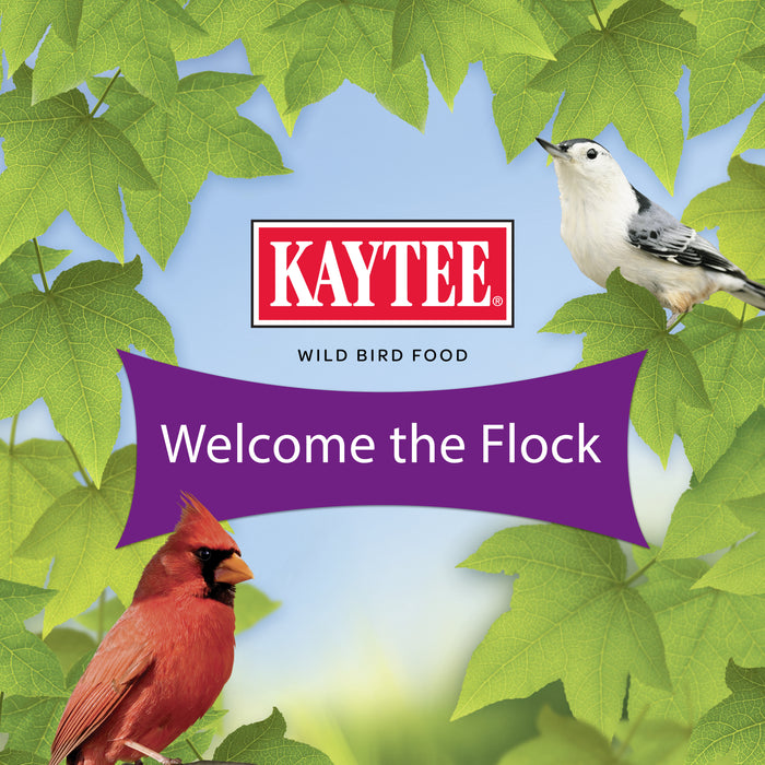 Kaytee Wild Bird Food Nut & Fruit Blend, Stand Up Pouch, 5 Pounds
