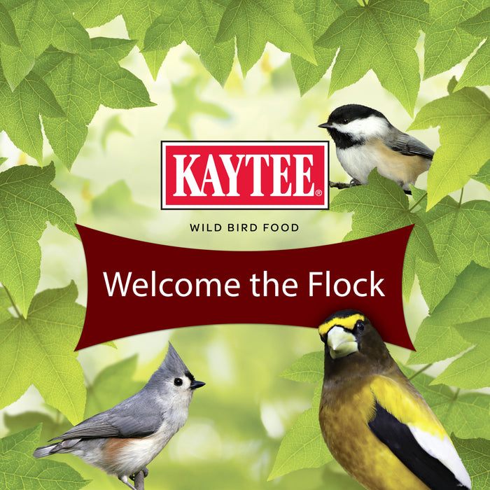 Kaytee Songbird Stand Up Bag 5 Pounds