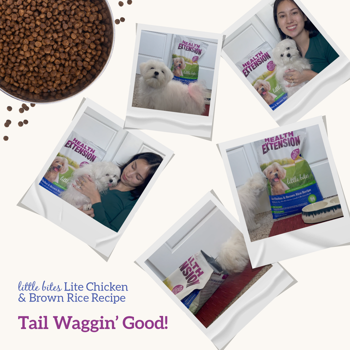 Health Extension Little Bites Lite Chicken & Brown Rice Recipe - 8 - Image 11