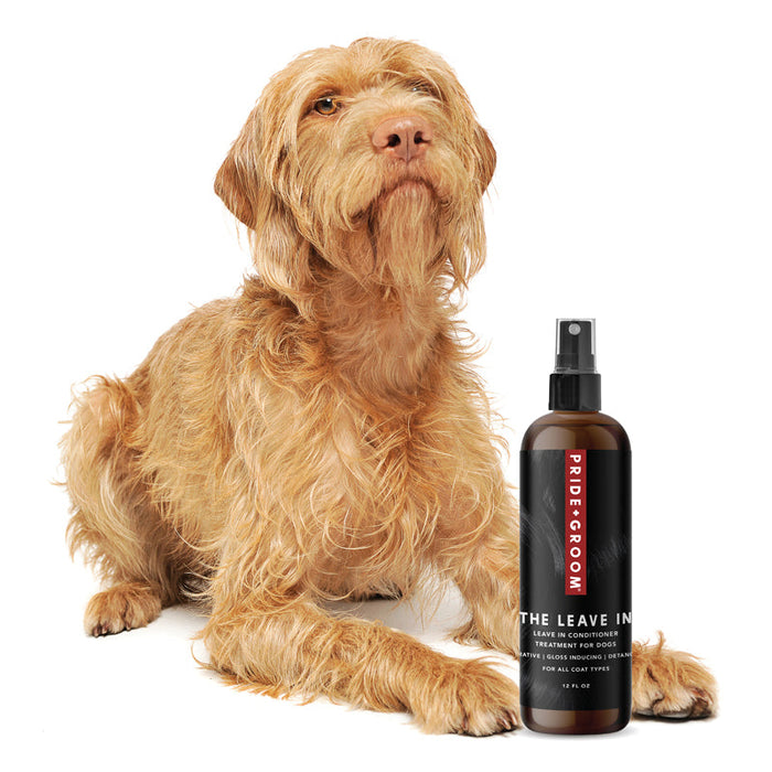 PRIDE+GROOM The Leave In Dog Detangling Spray — Detangling, Moisturizing & Conditioning Leave In Spray for Dogs