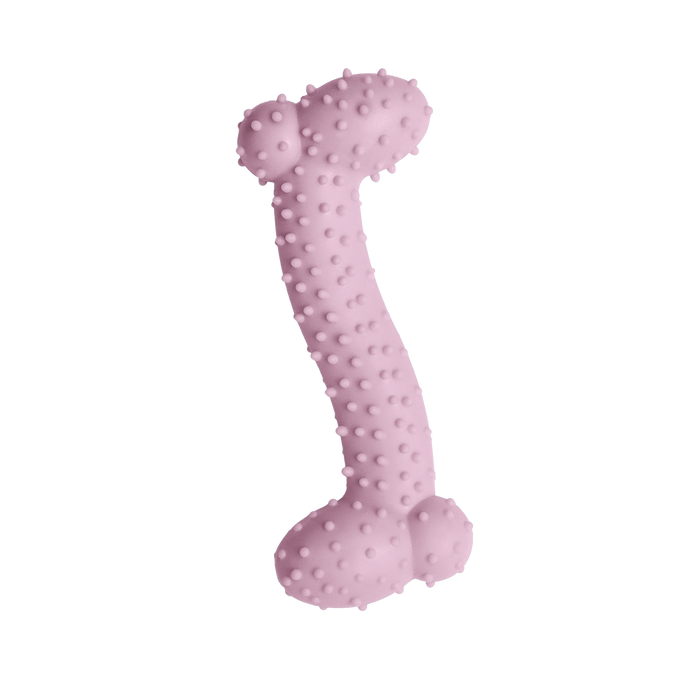 SnugArooz Lil Baby Bone Dog Chew Toy