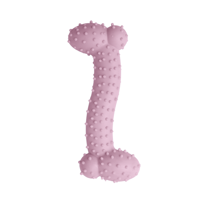 SnugArooz Lil Baby Bone Dog Chew Toy