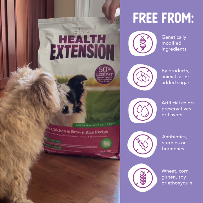 Health Extension Lite Chicken & Brown Rice Recipe - 6 - Image 11