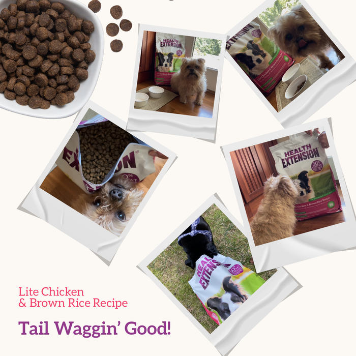 Health Extension Lite Chicken & Brown Rice Recipe - 8 - Image 11