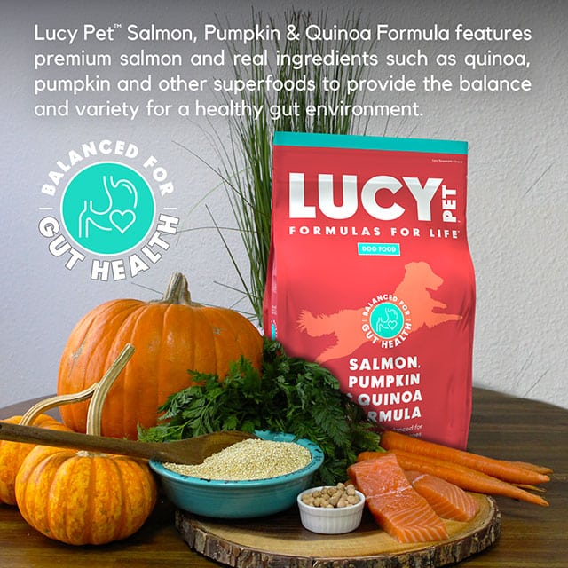 Lucy Pet Products Formula for Life L.I.D. Dry Dog Food Salmon, Pumpkin & Quinoa 4.5lb
