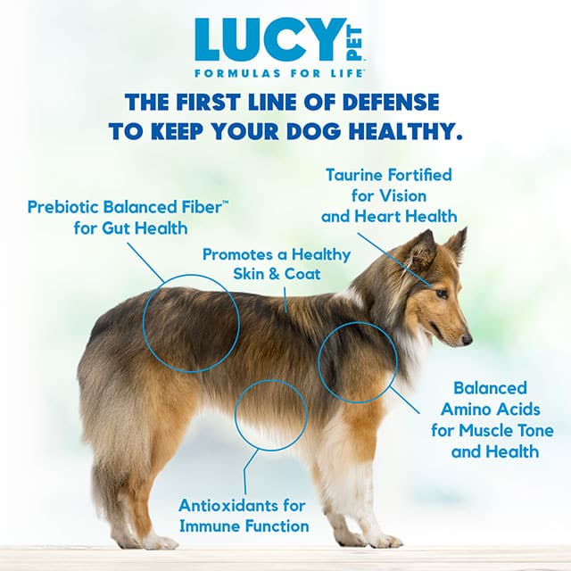 Lucy Pet Products Formula for Life L.I.D. Dry Dog Food Salmon, Pumpkin & Quinoa 4.5lb