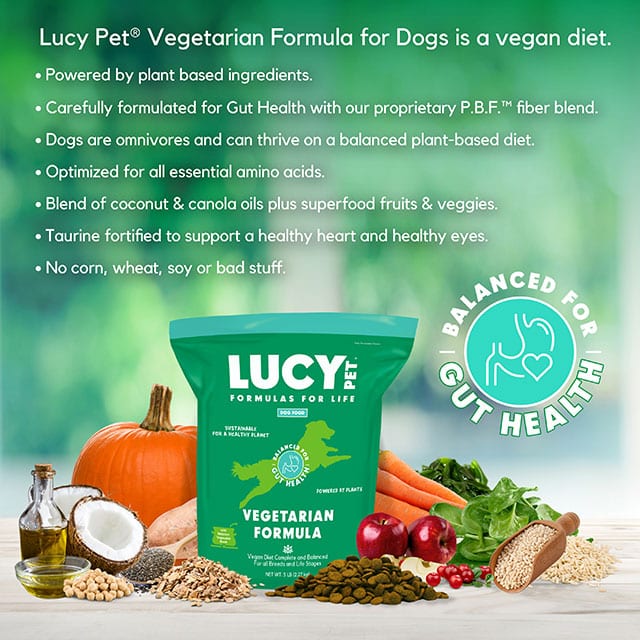 Lucy Pet Products Vegetarian Formula Dry Dog Food 20lbs