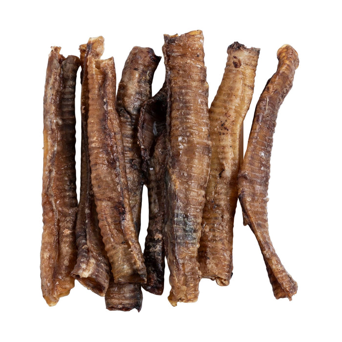American Pet Supplies - BAFFS NATURALS All-Natural Premium Lamb Trachea Dog Chews – 2 Pack (10 Chews Each) - 2 - Image 9