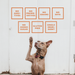 American Pet Supplies - BAFFS NATURALS All-Natural Premium Lamb Trachea Dog Chews – 2 Pack (10 Chews Each) - 6 - Image 9