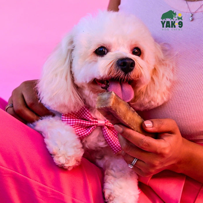 Yak9 Chews Strawberry Cheese Chews for Dogs - 4 - Image 27