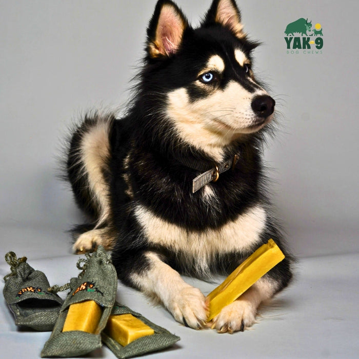 Yak9 Chews Yak and Cow Cheese Chews for Dogs - 3 - Image 29