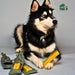 Yak9 Chews Yak and Cow Cheese Chews for Dogs - 3 - Image 29