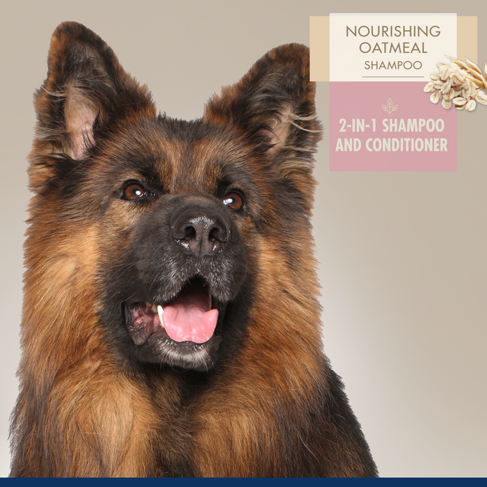 Four Paws Magic Coat Professional Series Nourishing Oatmeal 2 in 1 Dog Shampoo and Conditioner 16 Ounce (1 Count)