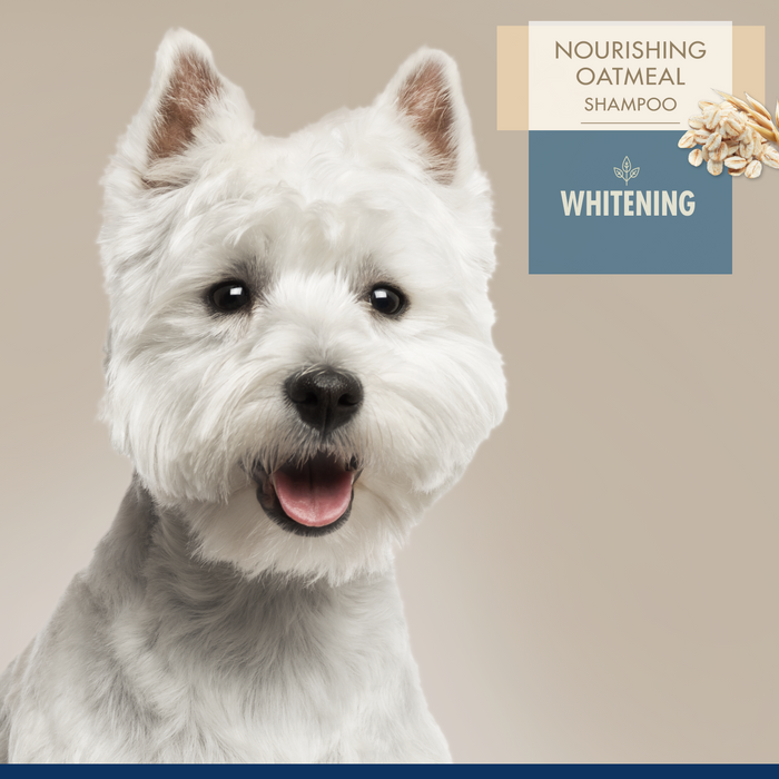 Four Paws Magic Coat Professional Series Nourishing Oatmeal Dog Whitening Shampoo 16 Ounce (1 Count)