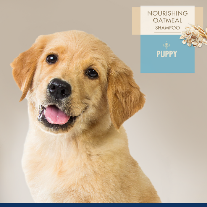 Four Paws Magic Coat Professional Series Nourishing Oatmeal Puppy Shampoo 16 Ounce (1 Count)
