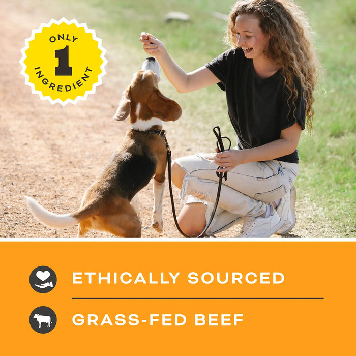 Primal Pet Foods Let's All Get A Lung Dehydrated Dog Treats Beef 1.5 oz - 4 - Image 8