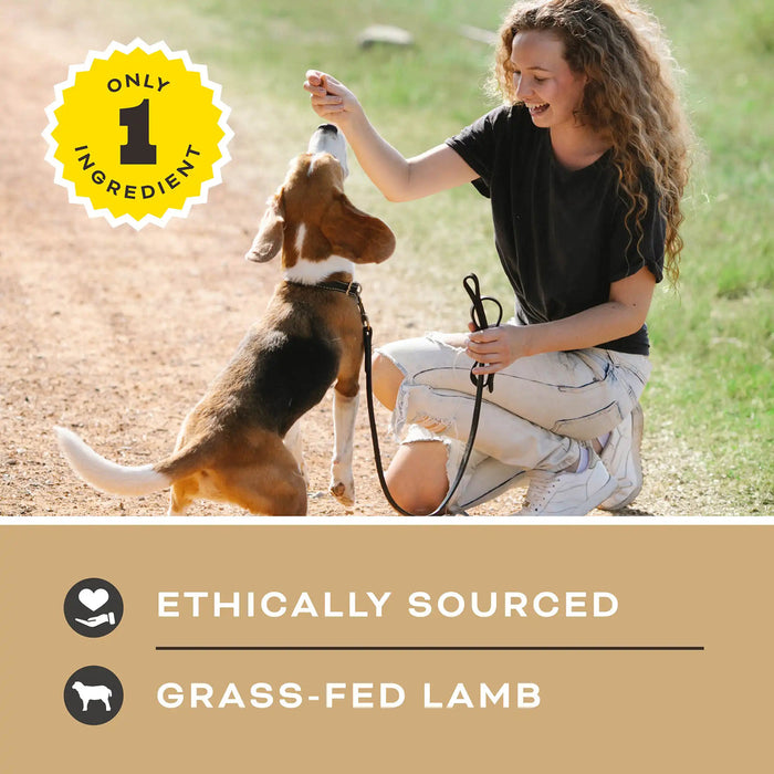 Primal Pet Foods Let's All Get A Lung Dehydrated Dog Treats Lamb 1.5 oz - 4 - Image 8
