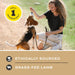 Primal Pet Foods Let's All Get A Lung Dehydrated Dog Treats Lamb 1.5 oz - 4 - Image 8