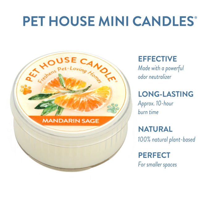 One Fur All Mandarin Sage Mini Candle