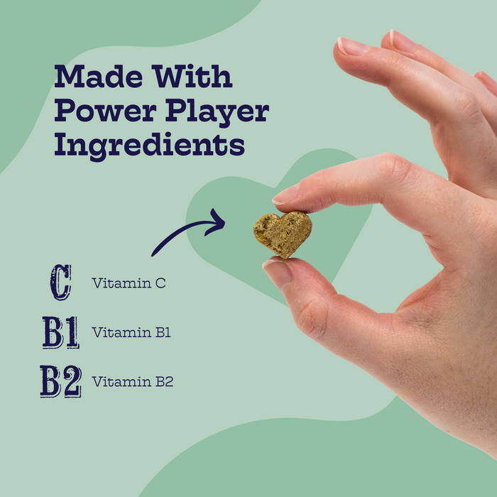 Moe's Healthy Pets Chicken and Waffles Chews - 1 - Image 14