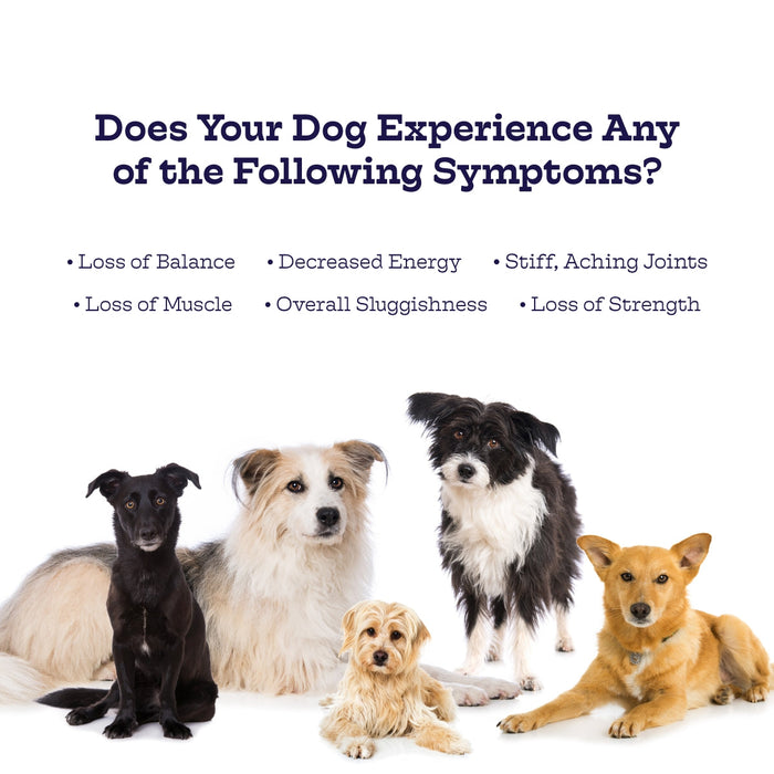 Moe's Healthy Pets Hip & Joint Chews - 2 - Image 9