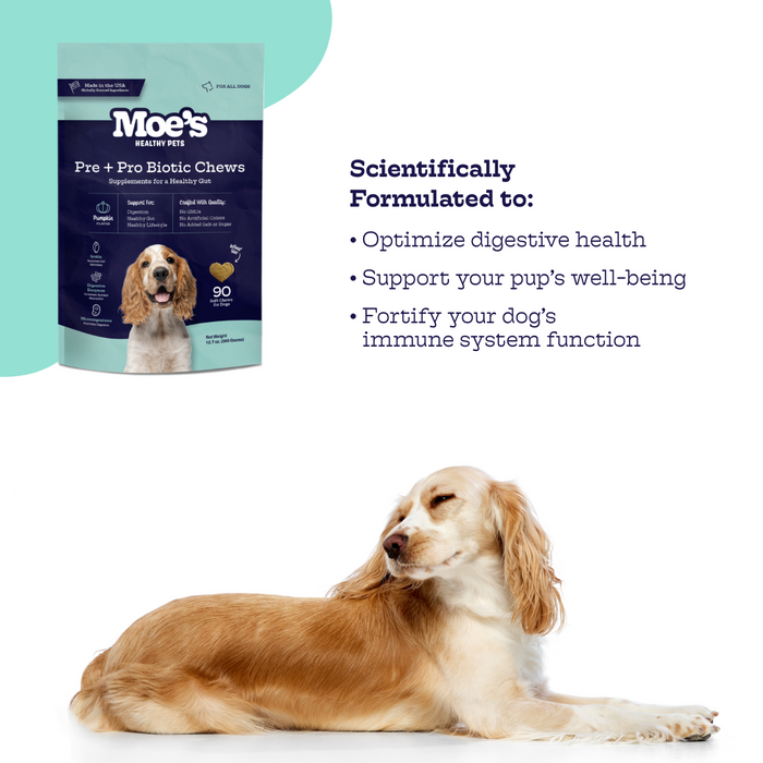 Moe's Healthy Pets Pre + Pro Biotic Chews - 2 - Image 9