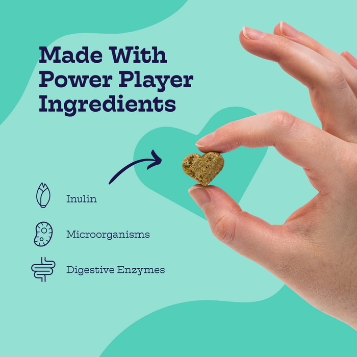 Moe's Healthy Pets Pre + Pro Biotic Chews - 4 - Image 9