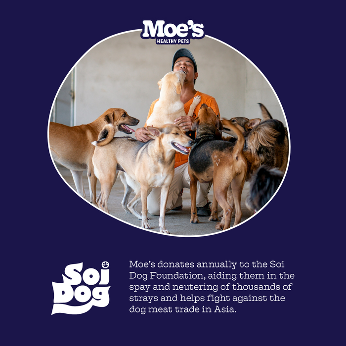 Moe's Healthy Pets Pre + Pro Biotic Chews - 7 - Image 9