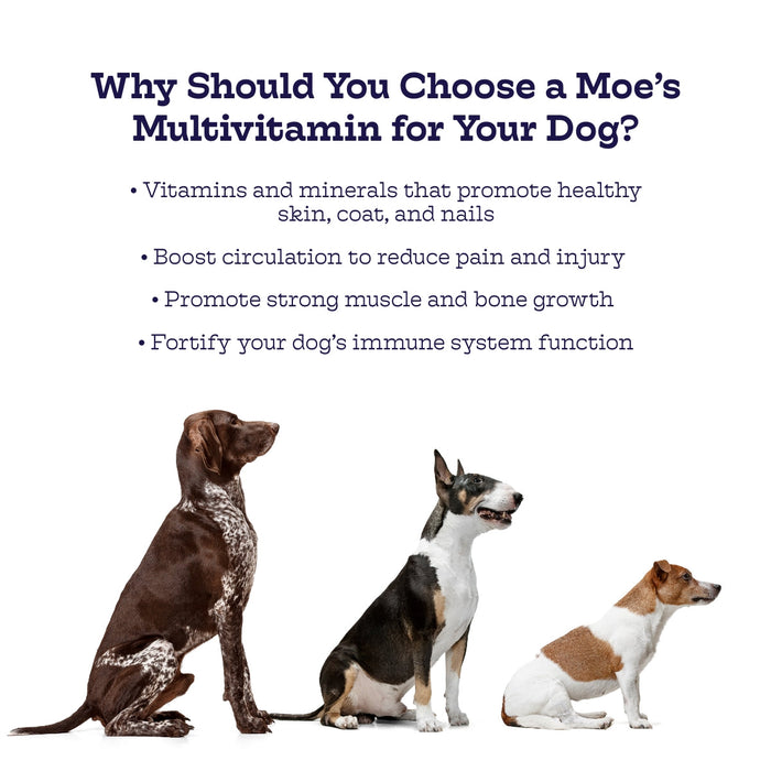 Moe's Healthy Pets Multi-Plus Chews - 2 - Image 9