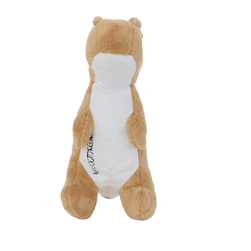 Mighty Junior Dino TRex Dog Toy