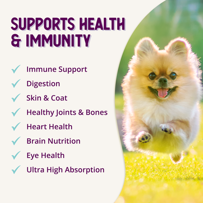 Health Extension Multi + Lifetime Vitamins