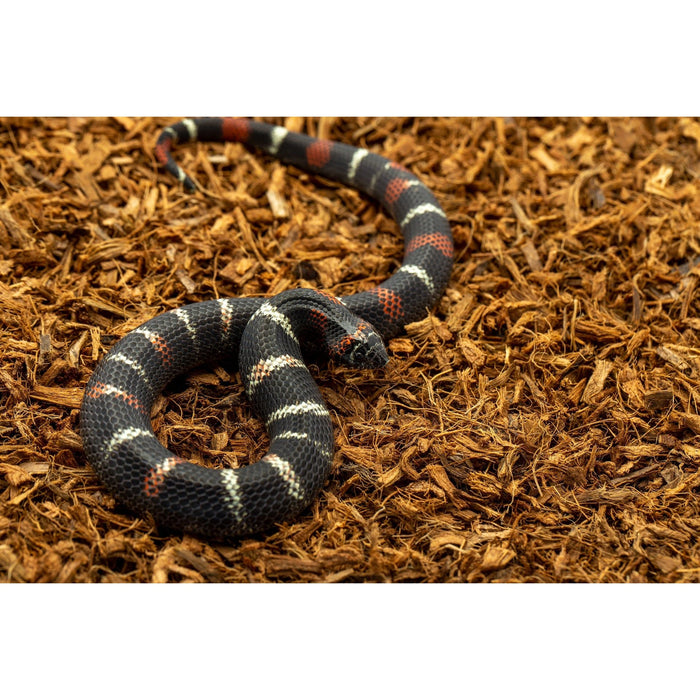 ReptiChip MicroChip Fine Ready to Use Coconut Chip Mix