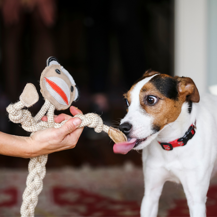 HuggleHoundsStuey Sock Monkey Natural Rope Knottie® Dog Toy, Large (9mm Rope Diameter)