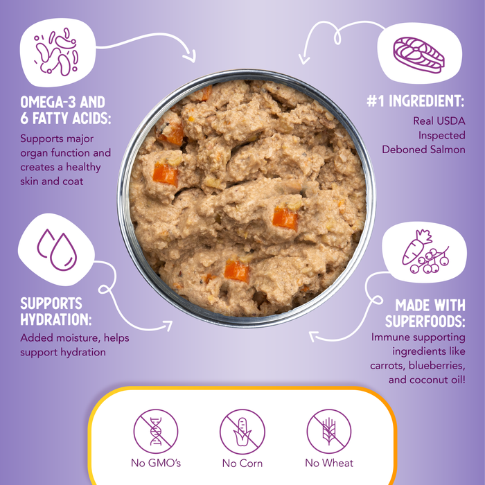 Health Extension Grain Free Northern Catch - Salmon Recipe - 8 - Image 11
