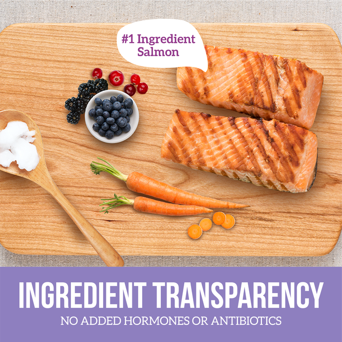 Health Extension Grain Free Northern Catch - Salmon Recipe - 9 - Image 11
