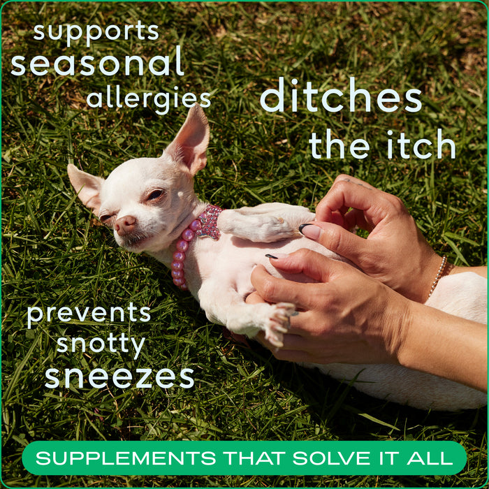 Native Pet Allergy Chews, 60 ct - 2 - Image 8