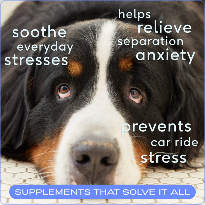 Native Pet Calm Chews, 120 ct - 2 - Image 8