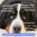 Native Pet Calm Chews, 120 ct - 2 - Image 8
