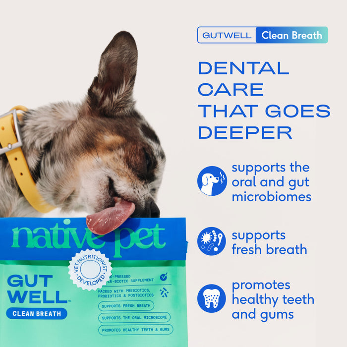 Native Pet GutWell Clean Breath 12.7 oz - 5 - Image 10