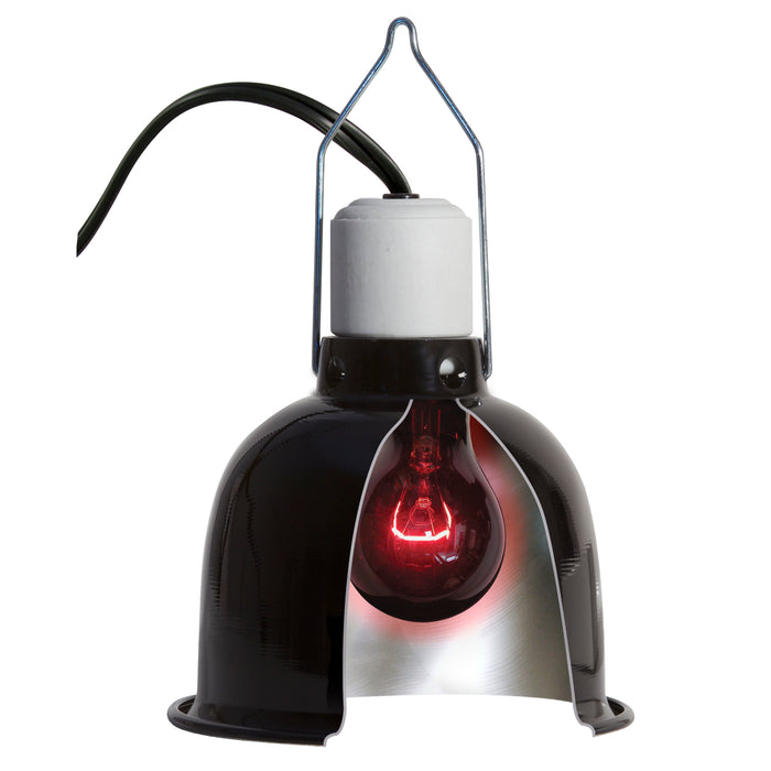 Zoo Med Nightlight Red Reptile Bulb Red 100 Watt